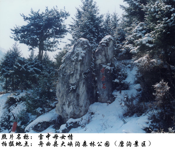 照片4.jpg