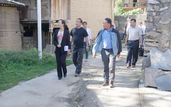 督查組察看大坪村生態(tài)文明小康村建設(shè)情況.jpg 督查組察看大坪村生態(tài)文明小康村建設(shè)情況.jpg
