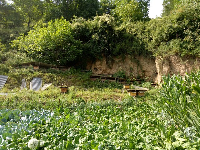 IMG20170721161637.jpg