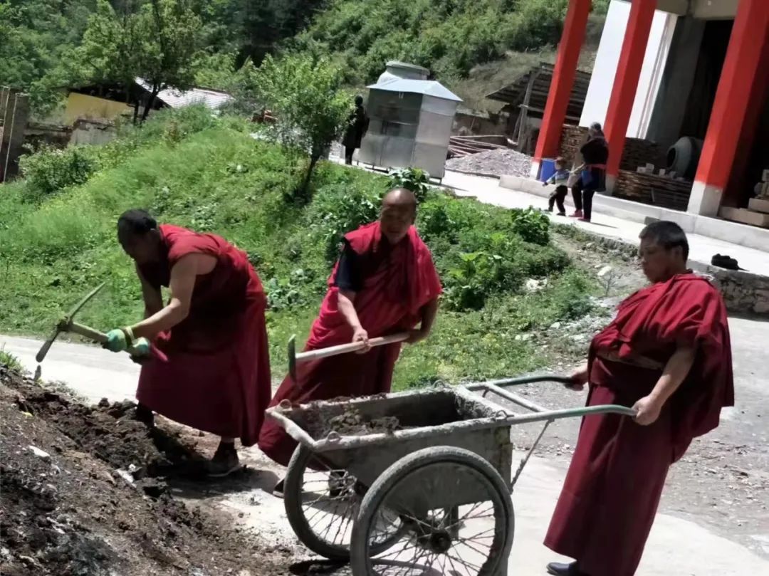 圖片