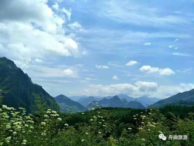 11.webp.jpg 11.webp.jpg