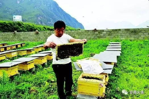 中華鋒.webp.jpg