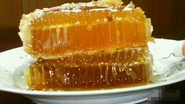 中華蜂5.jpg 中華蜂5.jpg