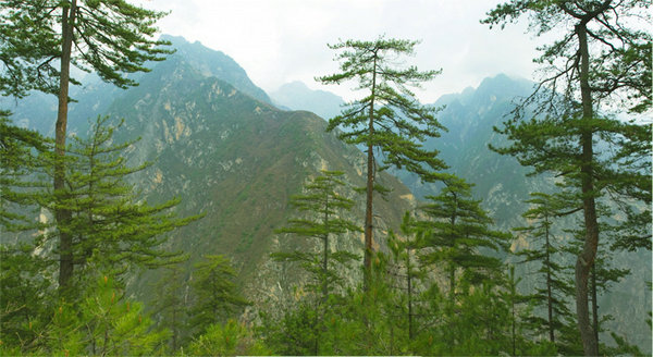 翠峰2.jpg