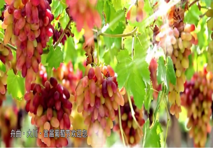 圖片14.png 圖片14.png